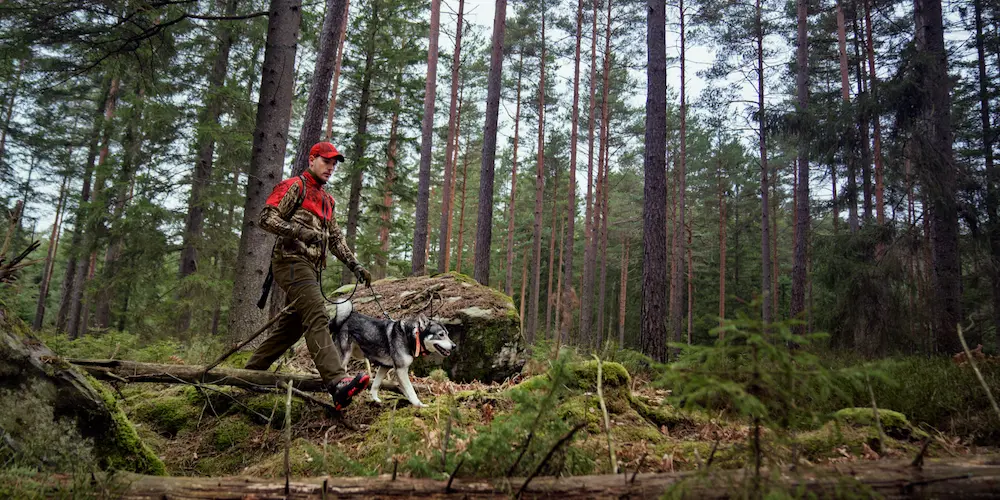 Dwustronna kurtka Härkila Kamko WSP – ochrona przed wiatrem i wszechstronny kamuflaż